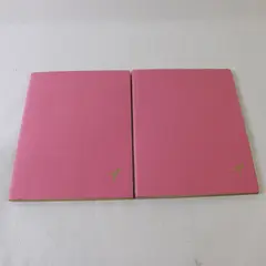 Lot of 2 Papyrus Pink Wide Ruled Notebooks