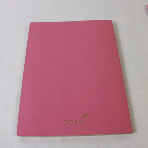 Lot of 2 Papyrus Pink Wide Ruled Notebooks
