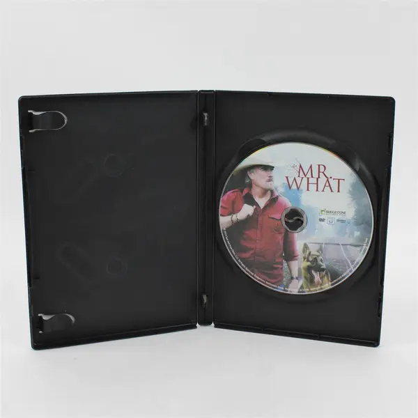 Mr What DVD Alan Maki Mikah Scott Carter Good Condition