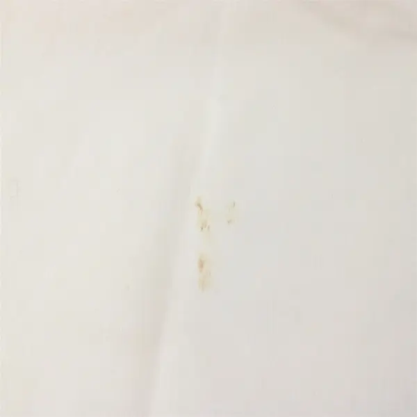 Lot Of 3 Charisma Wrinkle Shield Matching Solid White Standard Pillow Cases