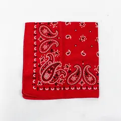 Fast Color Red Paisley Bandana 100% Cotton Vintage 