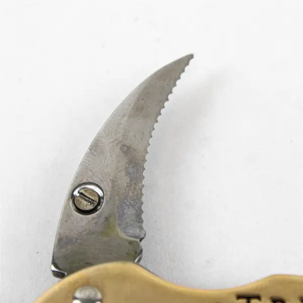 Trinchero Estates Gold Corkscrew Wine Opener With Wooden Case