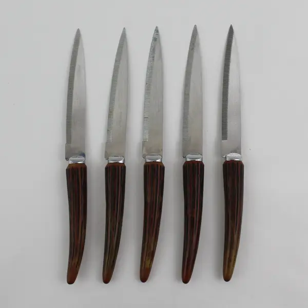 5-Piece Regent Sheffield England Stainless Steel Steak Knife Set 5 Knives