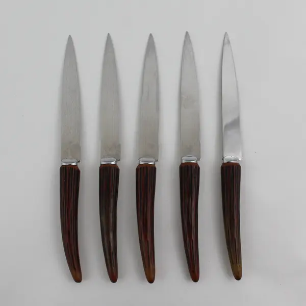 5-Piece Regent Sheffield England Stainless Steel Steak Knife Set 5 Knives
