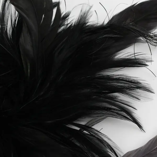 Vintage Black Feather Hat Pin Brooch - Safety-Pin Clasp Backing