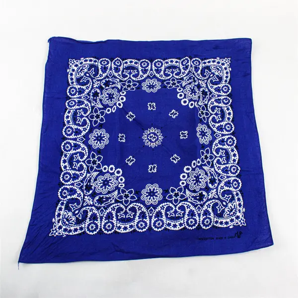 Lot of 2 Red and Blue Paisley Print Bandana 100% Cotton Head Wrap Scarf  
