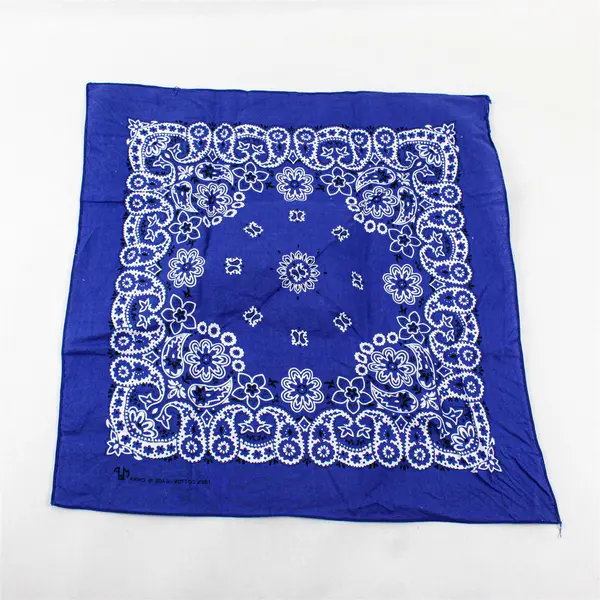 Lot of 2 Red and Blue Paisley Print Bandana 100% Cotton Head Wrap Scarf  