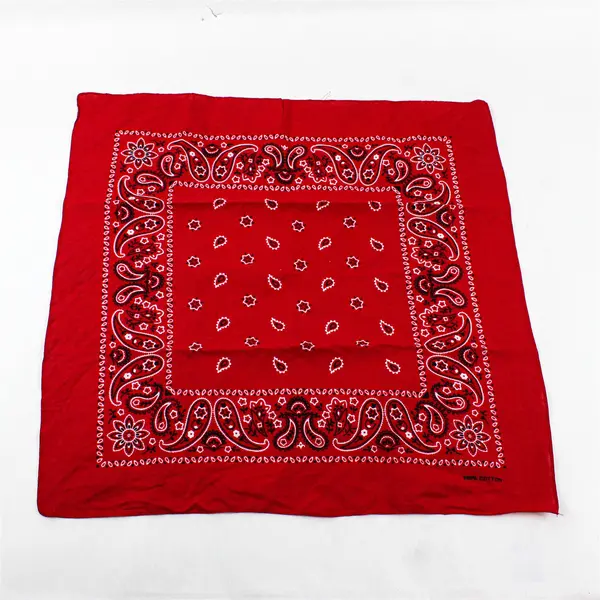 Lot of 2 Red and Blue Paisley Print Bandana 100% Cotton Head Wrap Scarf  