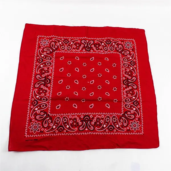 Lot of 2 Red and Blue Paisley Print Bandana 100% Cotton Head Wrap Scarf  