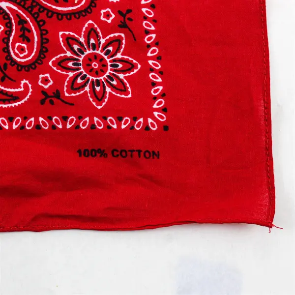 Lot of 2 Red and Blue Paisley Print Bandana 100% Cotton Head Wrap Scarf  