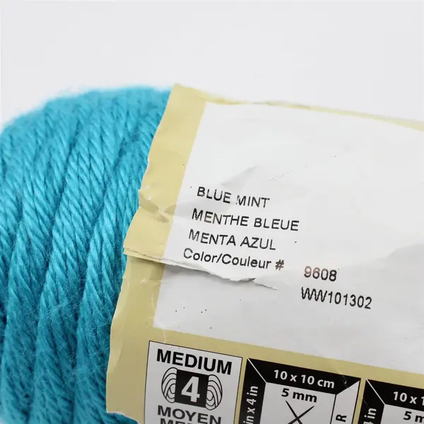 Lot of 4 Caron Simply Soft No Dye Lot Yarn Blue Mint #9608 Medium Weight 4