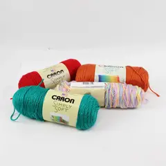 Lot of 4 Caron Simply Soft No Dye Lot Yarn Assorted Colors  Medium Weight 4