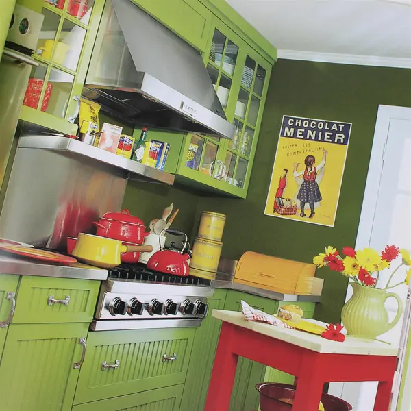 The Organized Home Randall Koll Casey Ellis Hardcover Book