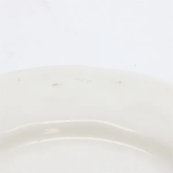 Set of 2 World Market Hand-Painted Lemon Tree Ceramic Plates 8"