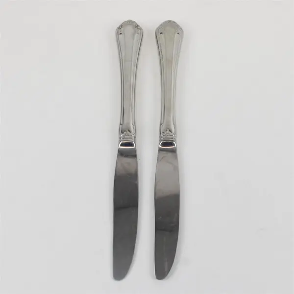 Lot of 2 Reed and Barton Dinner Knives Mandolin Pattern 18/8 Stainless Steel