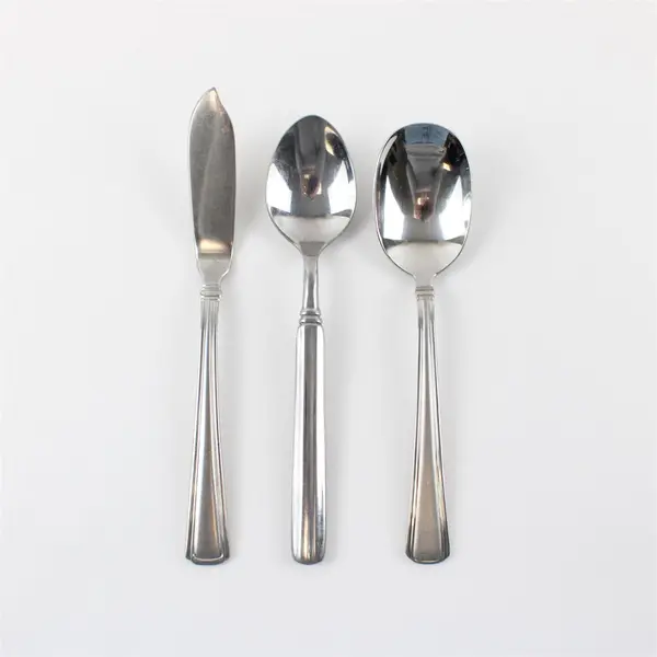 Reed & Barton Newhall Matte 18/10 Flatware: Butter Knife, Sugar Spoon, Teaspoon