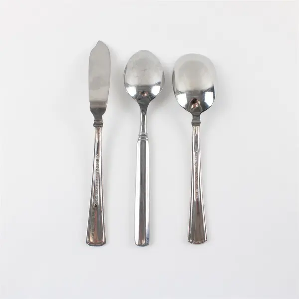Reed & Barton Newhall Matte 18/10 Flatware: Butter Knife, Sugar Spoon, Teaspoon