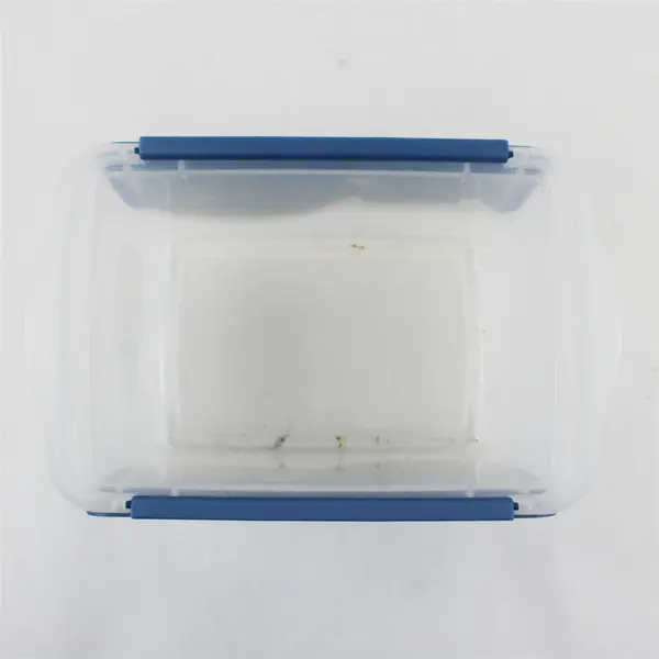 Sterilite 3 Qt Plastic Storage Container Home Organization