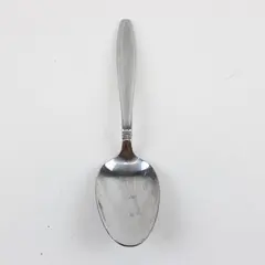 Mikasa Carson Frosted Stainless Steel Oval Soup Spoon 8 in