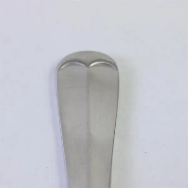 Retroneu Bradford Stainless Steel Dinner Fork 8 in