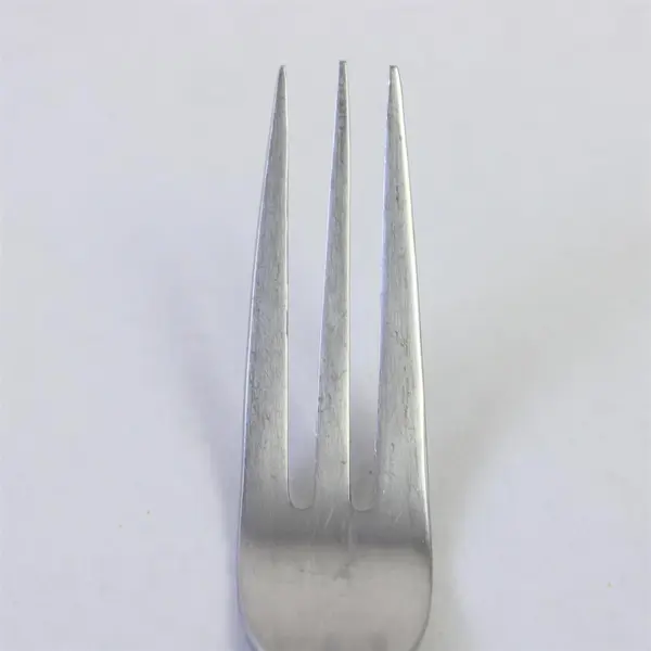 Retroneu Bradford Stainless Steel Dinner Fork 8 in