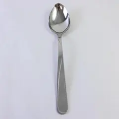 Oneida Soar Stainless Steel Large Serving Spoon 9.5"