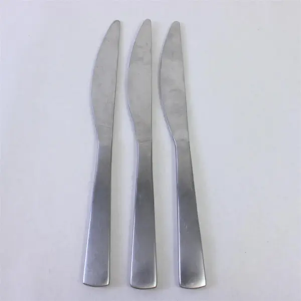 Lot of 3 Dinner Knives Gourmet Settings Park Carry On Matte Stainless Steel