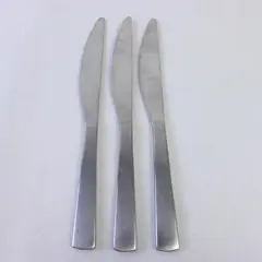 Lot of 3 Dinner Knives Gourmet Settings Park Carry On Matte Stainless Steel