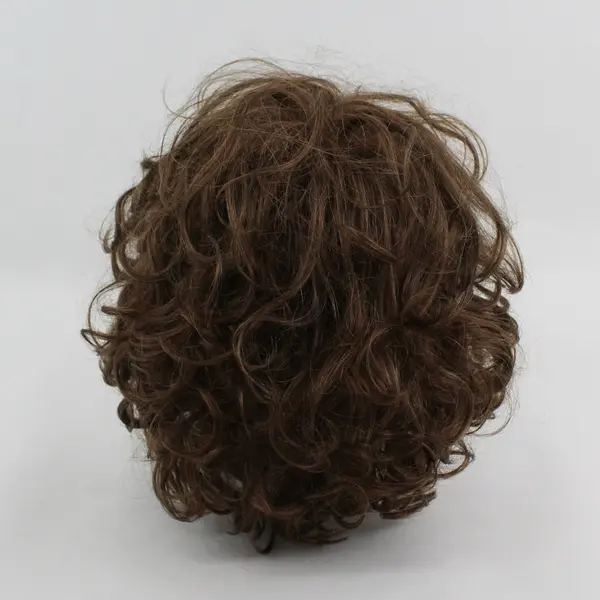 Paula Young Medium Length Light Brown Modacrylic Wig