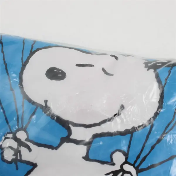 Vtg 2001 Peanuts Celebration Inflatable Chair Charlie Brown Snoopy Child Size