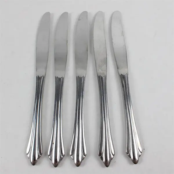 Five Reed and Barton Select Stainless Dinner Knives in the Sarajevo Pattern 
