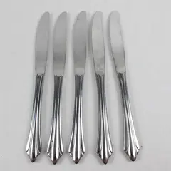 Five Reed and Barton Select Stainless Dinner Knives in the Sarajevo Pattern 