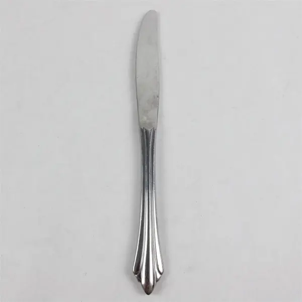 Five Reed and Barton Select Stainless Dinner Knives in the Sarajevo Pattern 