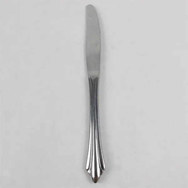 Five Reed and Barton Select Stainless Dinner Knives in the Sarajevo Pattern 