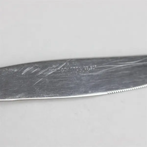 Five Reed and Barton Select Stainless Dinner Knives in the Sarajevo Pattern 