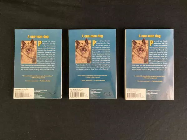 Teacher Lot of 3 Jim Ugly by Sid Fleischman Harper Trophy Edition 2003 PB