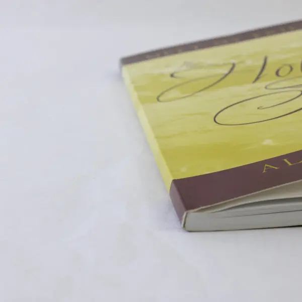 Meet My Friend the Holy Spirit Alger Fitch 1999 Paperback Religious Book