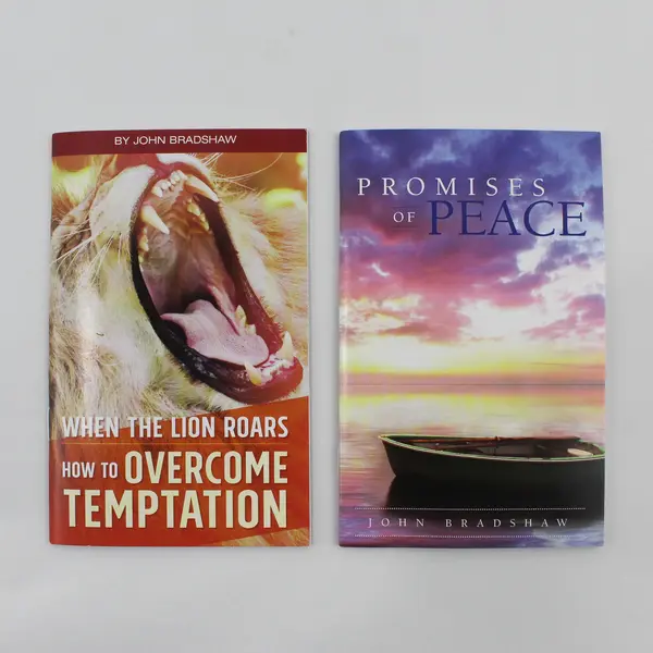 Lot of 4 John Bradshaw Pocket Inspirational Books 2016 to 2021 Paperback Good 