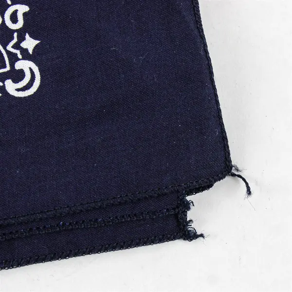 Hav-A-Hank Blue Bandana RN 15187 100% Cotton 20"x 20"