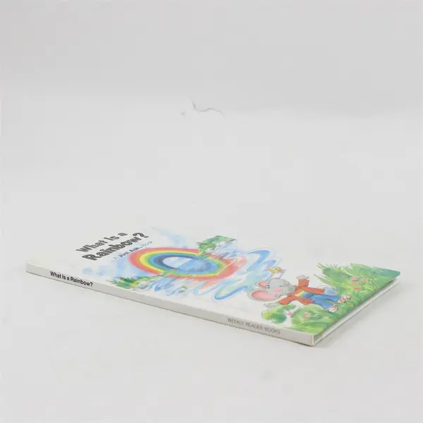 What Is a Rainbow? Paperback Chris Arvetis