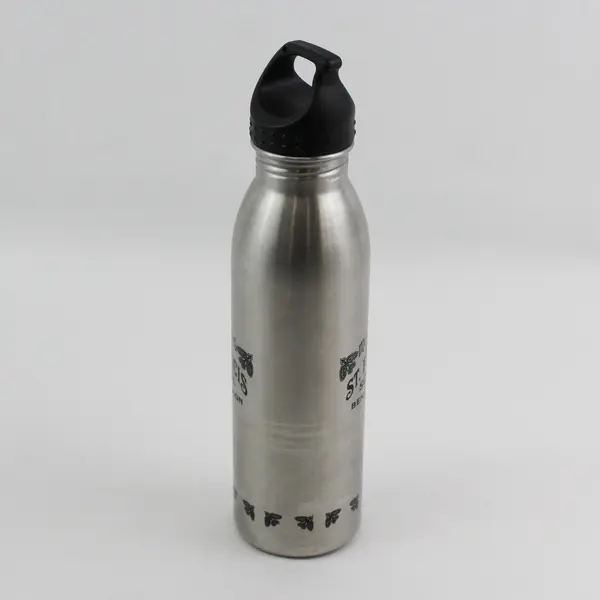 McMenamins Old St. Francis School H2Go Stainless Steel Silver Water Bottle 11"