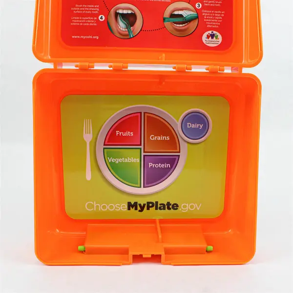 Zak Designs Dental Lessons In A Lunch Box Orange Plastic