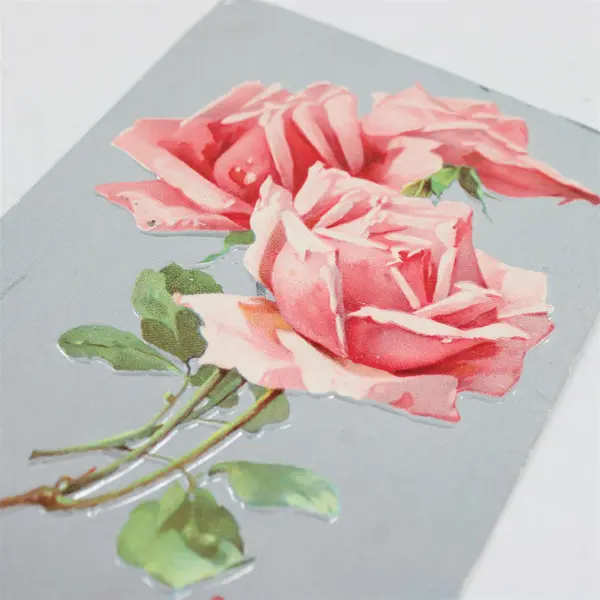 Lot of 2 Vintage Oregon Rose Litho Postcards Ashland OR