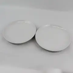 Set of 2 Threshold Avesta White Stoneware Dinner Plates 10.25"