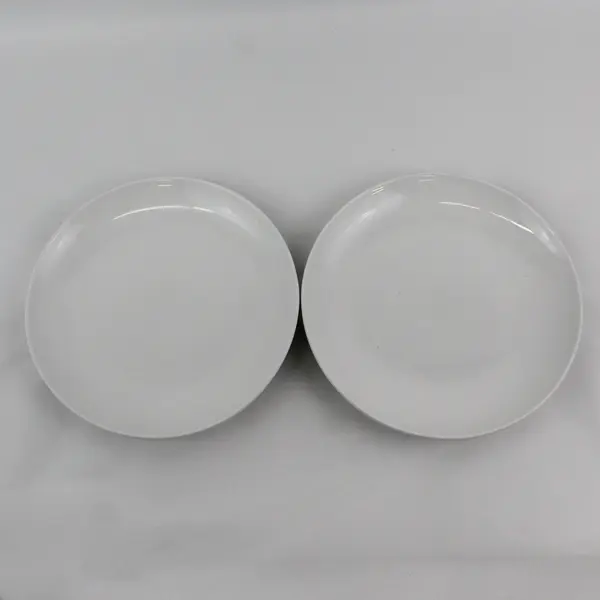 Set of 2 Threshold Avesta White Stoneware Dinner Plates 10.25"