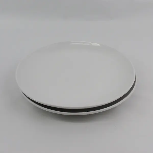 Set of 2 Threshold Avesta White Stoneware Dinner Plates 10.25"