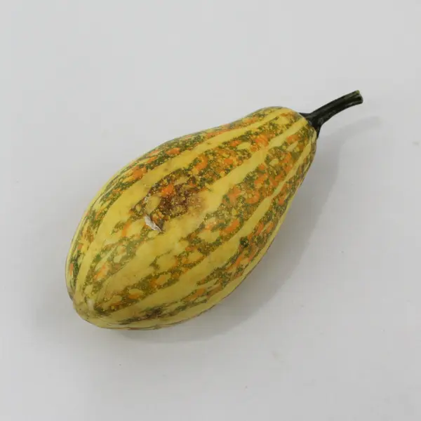 Lot of 6 Decorative Faux Squash Autumn Centerpiece FLAWED