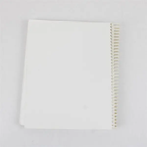 Vintage Master Your Computer Beginning Excel 2000 For Windows 95 1999 SB PB