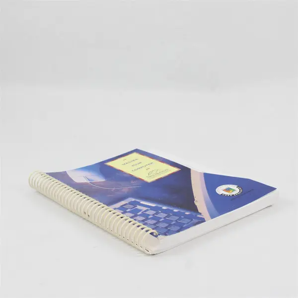 Vintage Master Your Computer Beginning Excel 2000 For Windows 95 1999 SB PB
