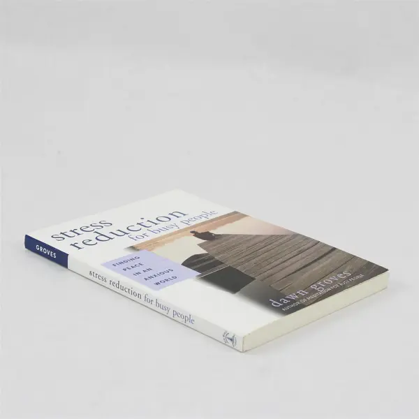 Stress Reduction for Busy People Finding Peace Dawn Groves 2004 1st Edition PB